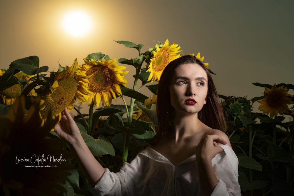 NIKON D850 2020-07-21 16:46:19 f/16 1/400sec ISO-64 105mm