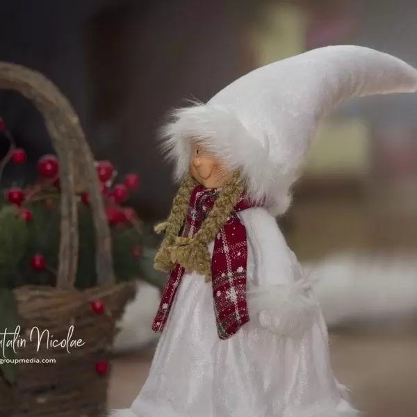 NIKON D7100 2017 12 19 17:45:32 f/9 1/125sec ISO 320 200mm