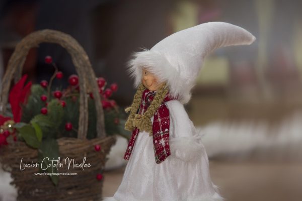 NIKON D7100 2017-12-19 17:45:32 f/9 1/125sec ISO-320 200mm