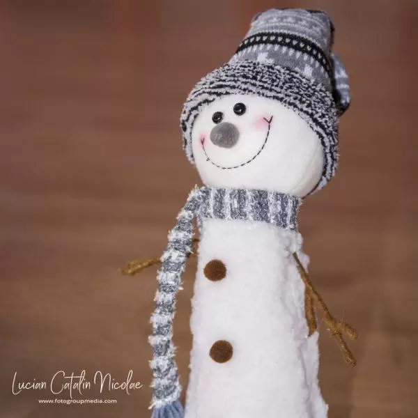 NIKON D7100 2017 12 19 17:48:29 f/2 8 1/250sec ISO 320 100mm