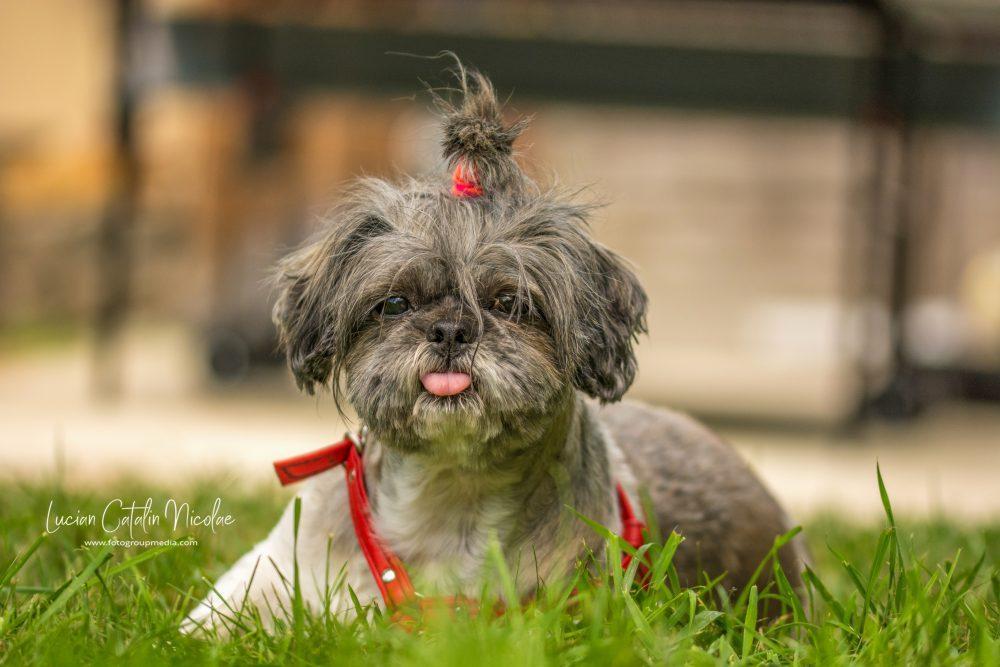 NIKON D7100 2015-08-12 17:47:14 f/3 1/1250sec ISO-640 105mm