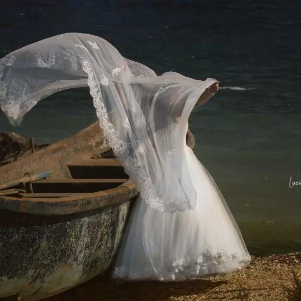 NIKON D7100 2017 08 25 15:58:02 f/6 3 1/1250sec ISO 100 70mm